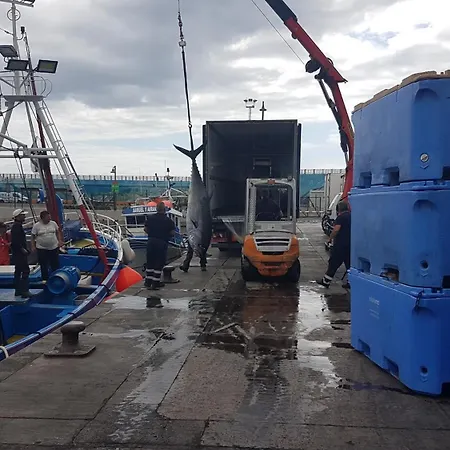 400mtr, Of Mountain With Spectacular Surround View 200mtr * Los Cristianos (Tenerife)