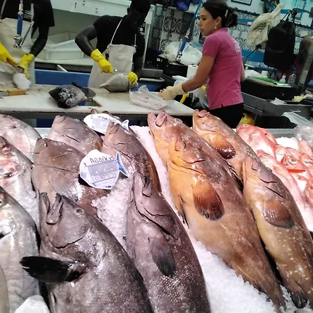 400mtr, Of Mountain With Spectacular Surround View 200mtr Διαμέρισμα *