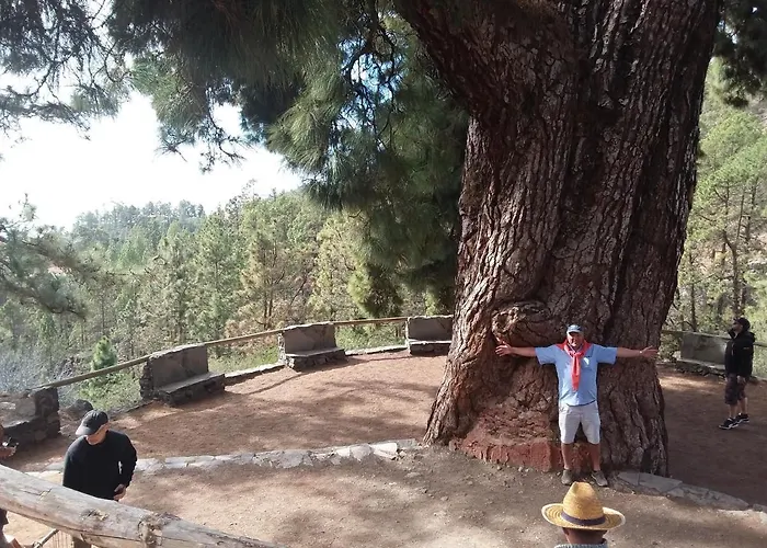 400mtr, Of Mountain With Spectacular Surround View 200mtr Los Cristianos (Tenerife)