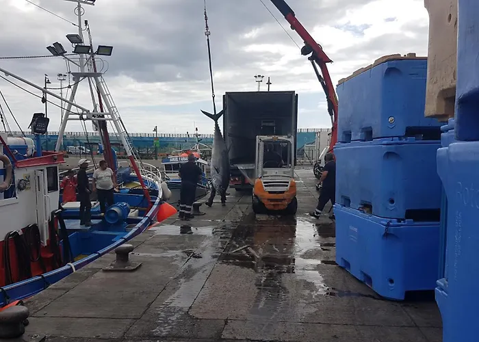 400mtr, Of Mountain With Spectacular Surround View 200mtr * Los Cristianos (Tenerife)