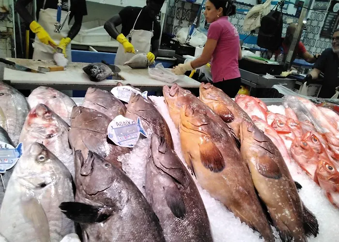 400mtr, Of Mountain With Spectacular Surround View 200mtr Διαμέρισμα *